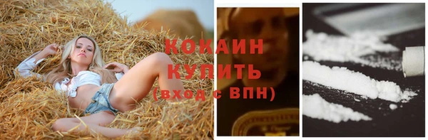 ГАЛЛЮЦИНОГЕННЫЕ ГРИБЫ Пересвет