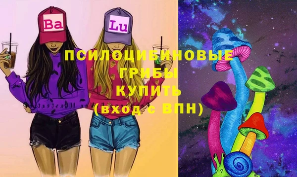 ГАЛЛЮЦИНОГЕННЫЕ ГРИБЫ Пересвет