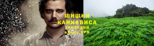 ГАЛЛЮЦИНОГЕННЫЕ ГРИБЫ Пересвет