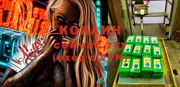 ГАЛЛЮЦИНОГЕННЫЕ ГРИБЫ Пересвет