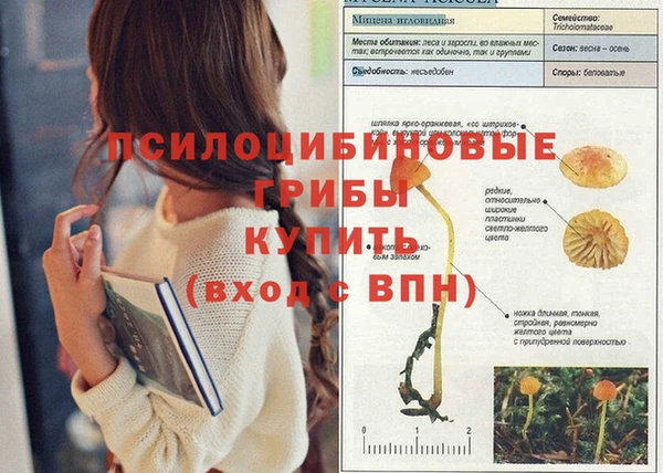mdma Пестово