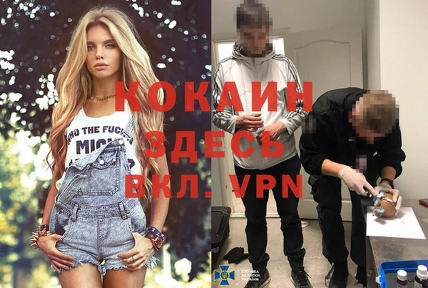 сатива Переславль-Залесский