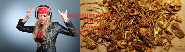 сатива Переславль-Залесский